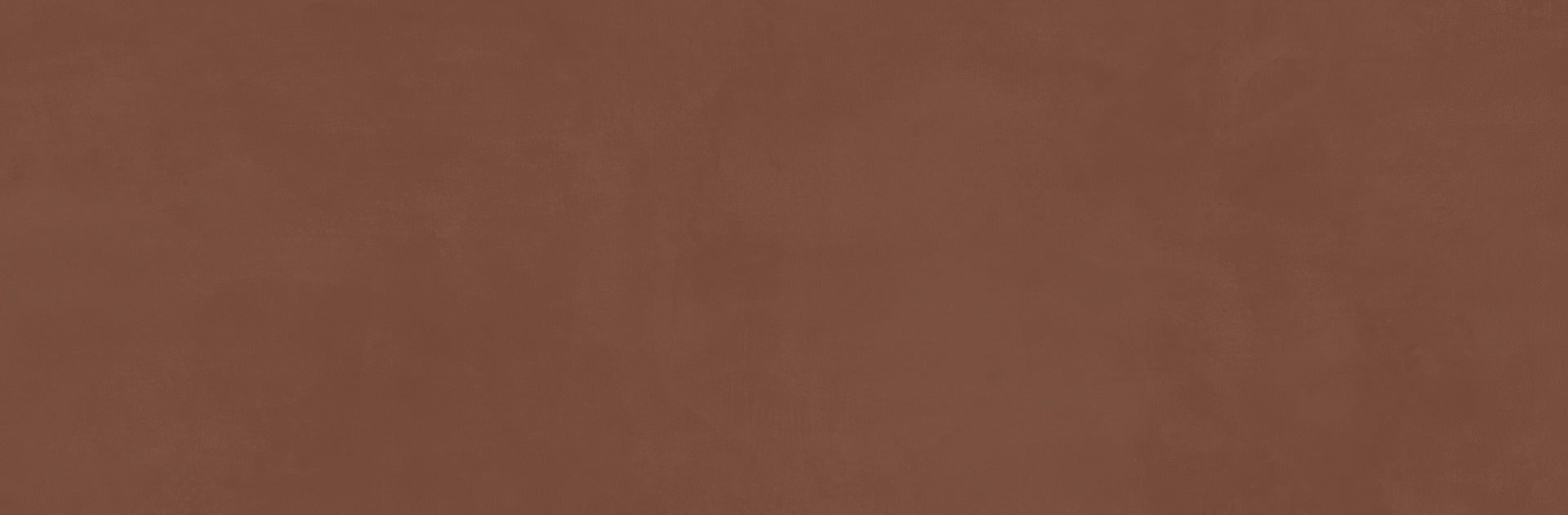 Ragno Now Terracotta 25x76