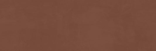 Ragno Now Terracotta 25x76
