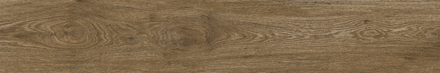 Ragno Ossimori Marrone 25x150 Rt