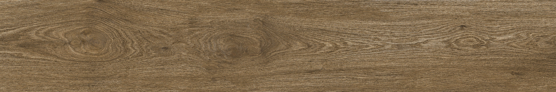 Ragno Ossimori Marrone 25x150 Rt