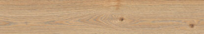 Ragno Secret Naturale 20x120 Rt
