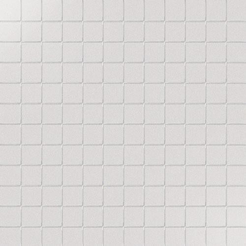 CESI Lucidi Salgemma 2,5x2,5 Mosaico su rete