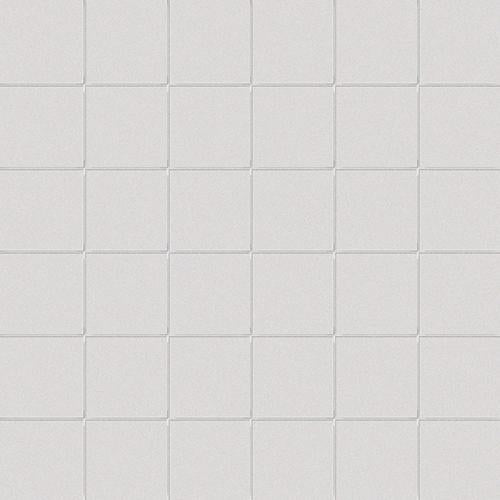 CESI Lucidi Salgemma 5x5 Mosaico su Rete