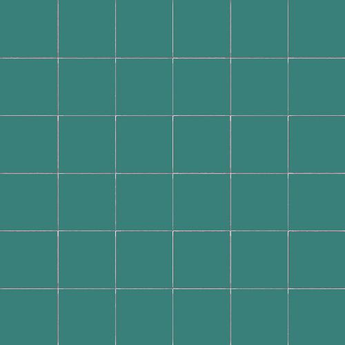 CESI Matt Salvia 5x5 Mosaico su rete