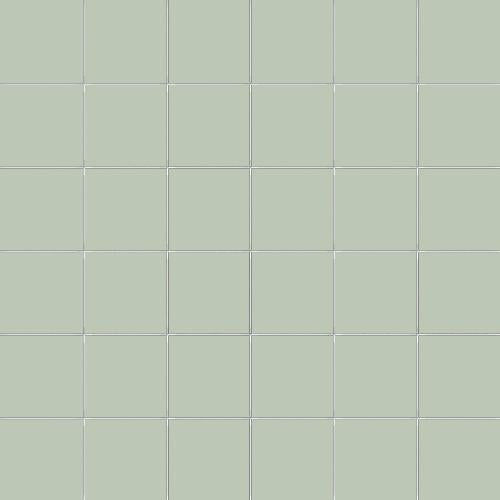 CESI Lucidi Stagno 5x5 Mosaico su Rete