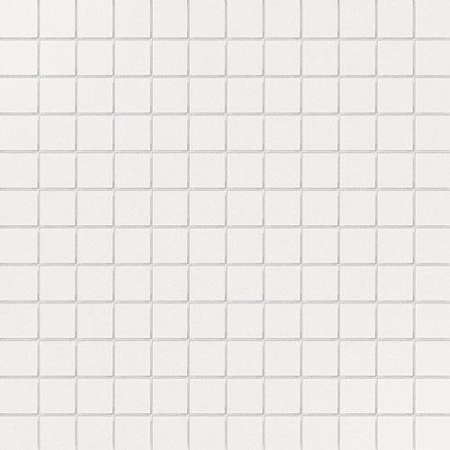 CESI Lucidi Talco 2,5x2,5 Mosaico su rete