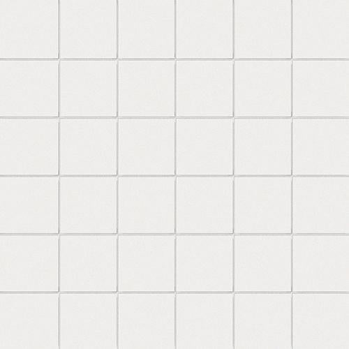 CESI Lucidi Talco 5x5 Mosaico su Rete