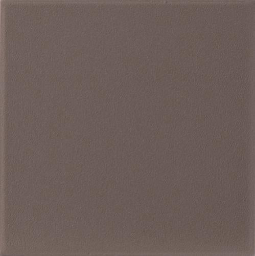 CESI Full Body Terra 10x10