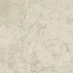 Gardenia&Ariana La Geoteca Travertino Ivory Cross R11 Rettificato 20mm 80x80