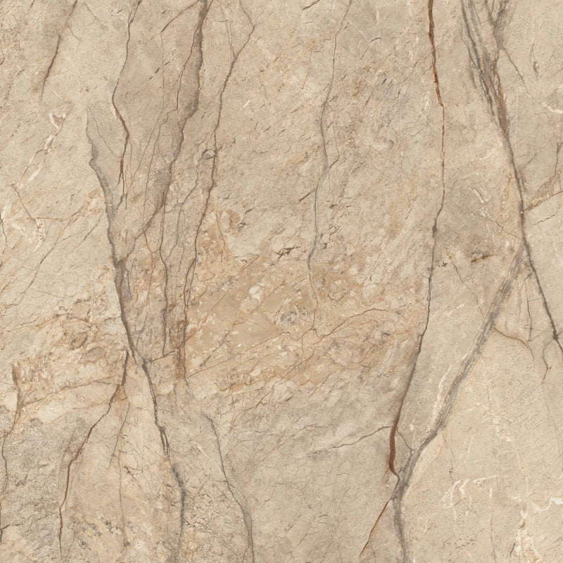 Minimale ufficiale - Versace Harmony Marble Desert Storm 120x120 Antique 3D