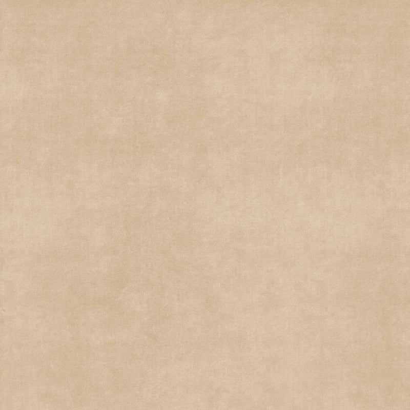 Minimale ufficiale - Versace Harmony Velvet Beige 120x120 Naturale