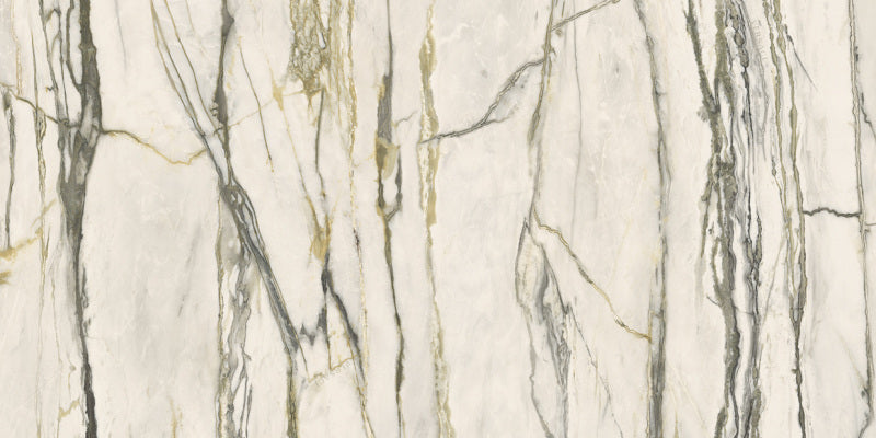 Minimale ufficiale - Versace Maximvs Calacatta Green 60x120 Lux