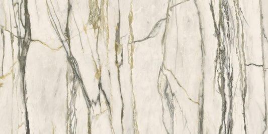 Minimale ufficiale - Versace Maximvs Calacatta Green 60x120 Lux