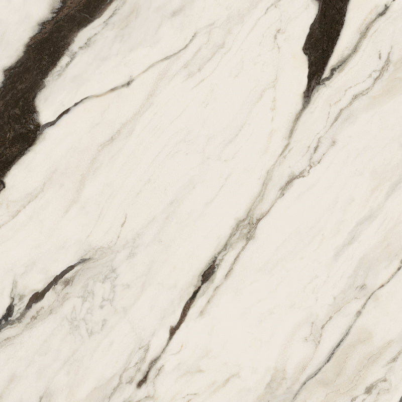 Minimale ufficiale - Versace Maximvs Panda White 60x60 Lux