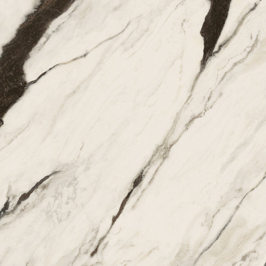 Minimale ufficiale - Versace Maximvs Panda White 60x60 Lux