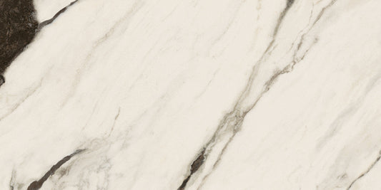 Minimale ufficiale - Versace Maximvs Panda White 60x120 Lux