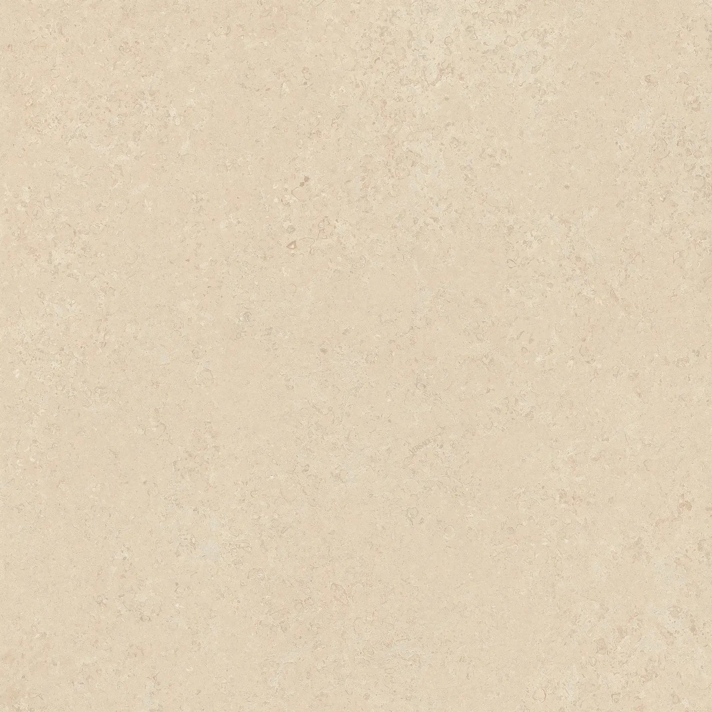 Versace V Stone Beige 60x60 R11