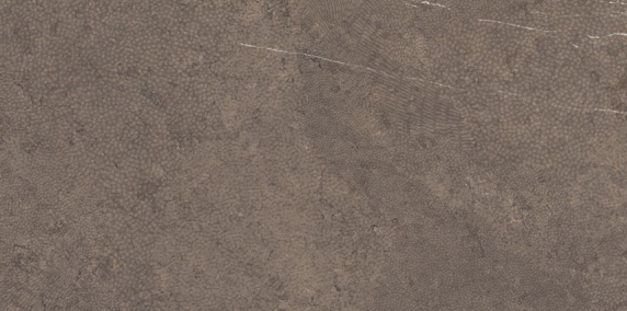 COEM Sense Wave Moka 60,4x120,8 Levigato Matt