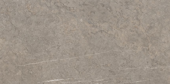 COEM Sense Wave Taupe 60,4x120,8 Levigato Matt