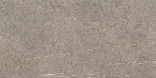 COEM Sense Wave Taupe 60,4x120,8 Levigato Matt