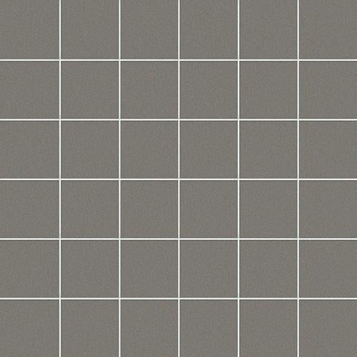 CESI Full Body Xeno 5x5 Mosaico su Rete