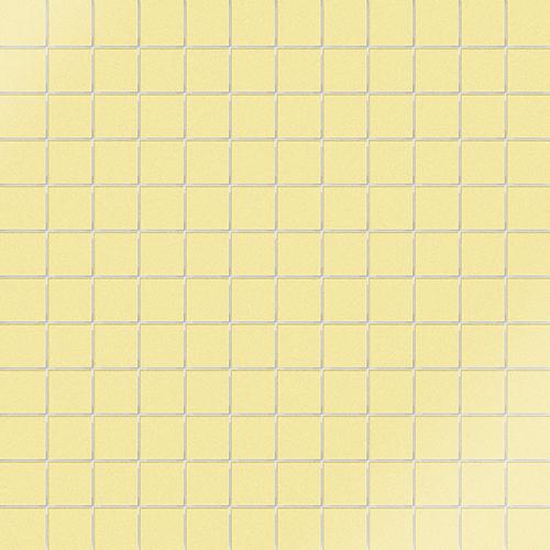 CESI Lucidi Zircone 2,5x2,5 Mosaico su rete