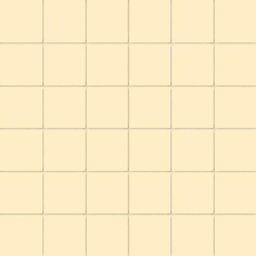 CESI Lucidi Zircone 5x5 Mosaico su Rete