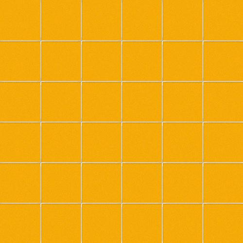 CESI Lucidi Zolfo 5x5 Mosaico su Rete
