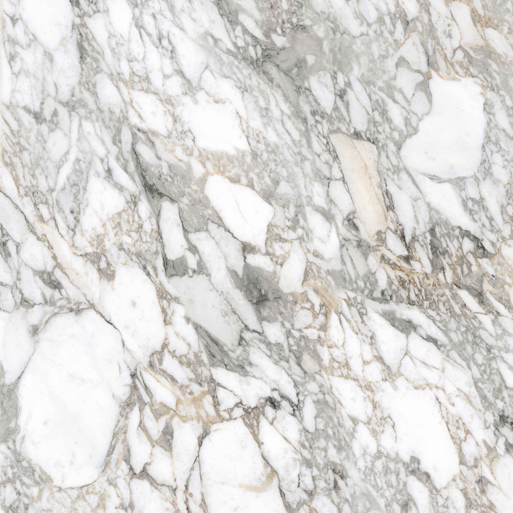 Supreme Memories Bianco Vagli 120x120 Lux - Gres Porcellanato di Flaviker - Prezzo solo €165.50! Compra ora su CEGO CERAMICHE