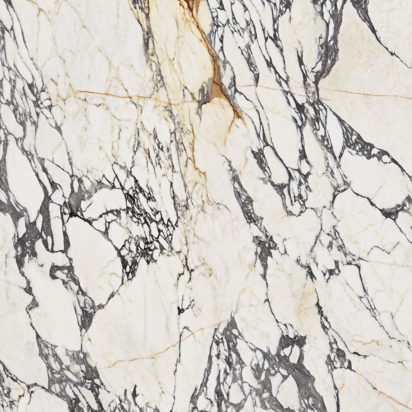 Supreme Treasure Corchia Gold 120x120 Nat - Gres Porcellanato di Flaviker - Prezzo solo €132.50! Compra ora su CEGO CERAMICHE