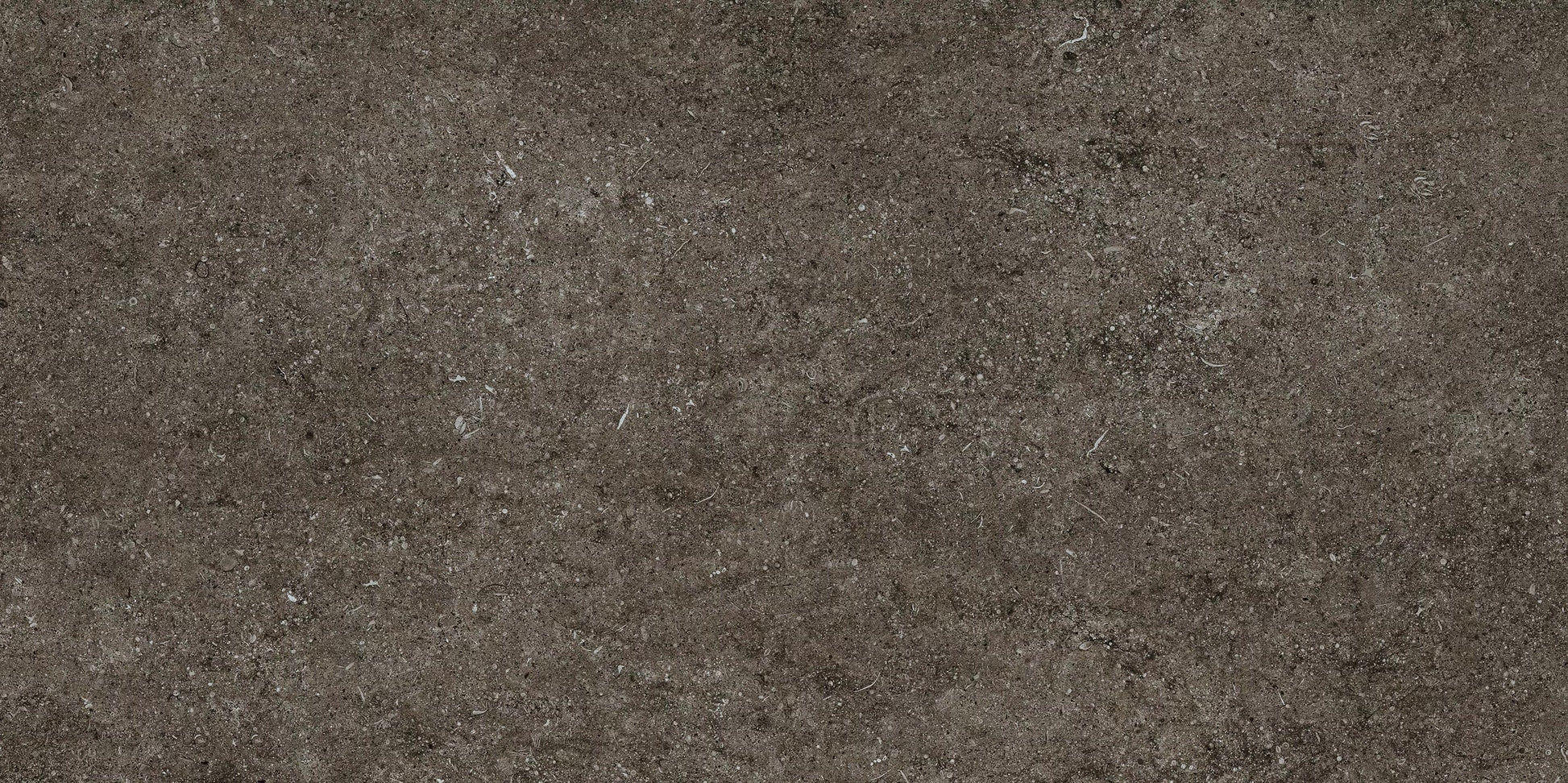 Sensi Fossil Brown 60x120 matte - Gres Porcellanato di Florim - Prezzo solo €71! Compra ora su CEGO CERAMICHE