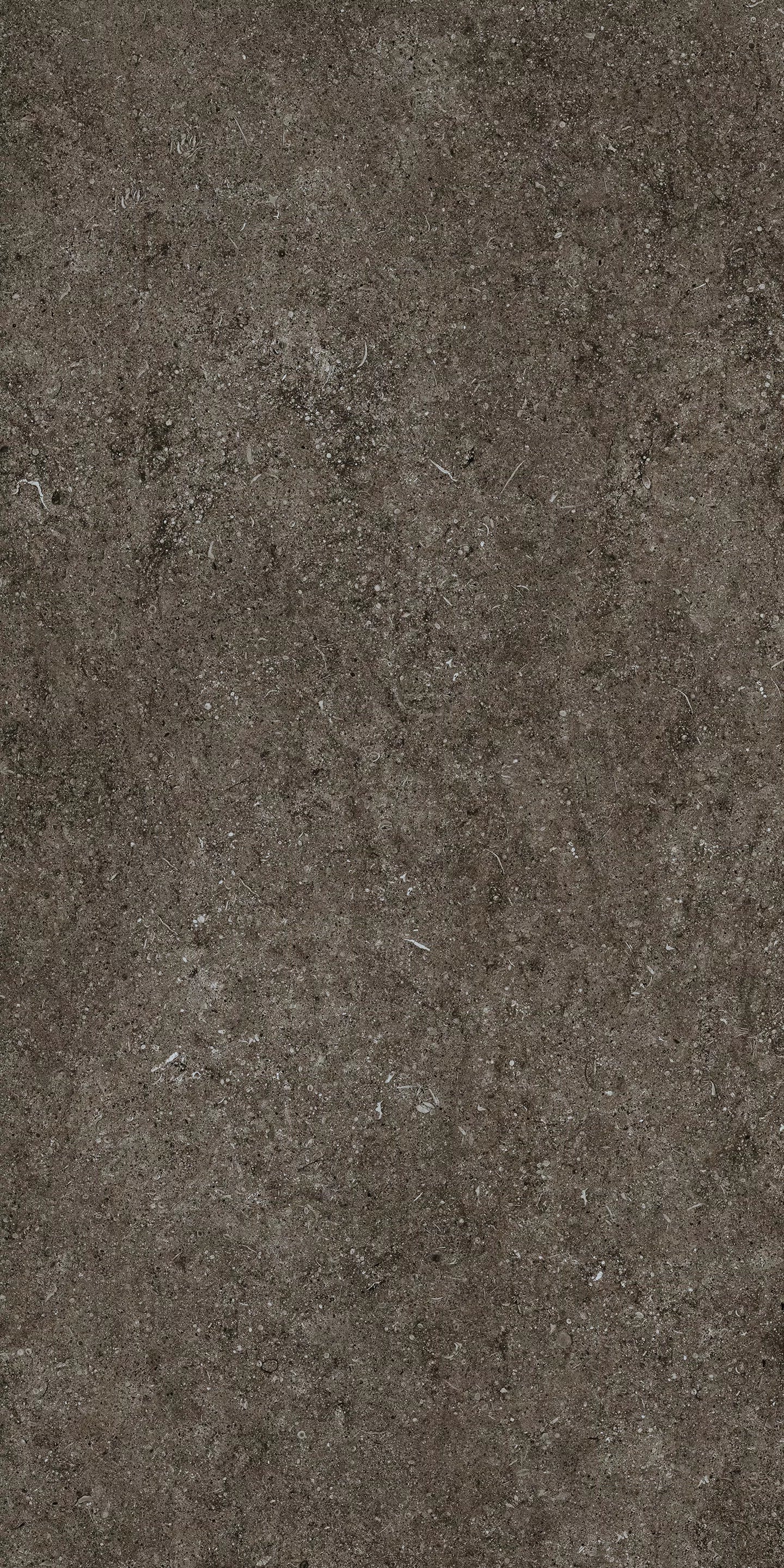 Sensi Fossil Brown 120x280 matte - Gres Porcellanato di Florim - Prezzo solo €237.13! Compra ora su CEGO CERAMICHE