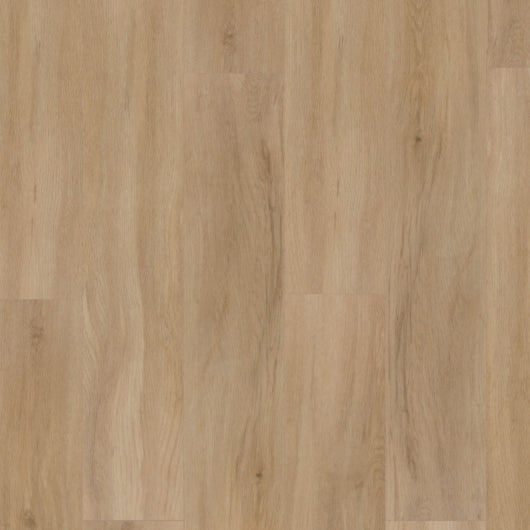 Evolution Tack Dry Plus Rovere Europeo TD4295 184X1219 - SPC di Virag - Prezzo solo €85.50! Compra ora su CEGO CERAMICHE