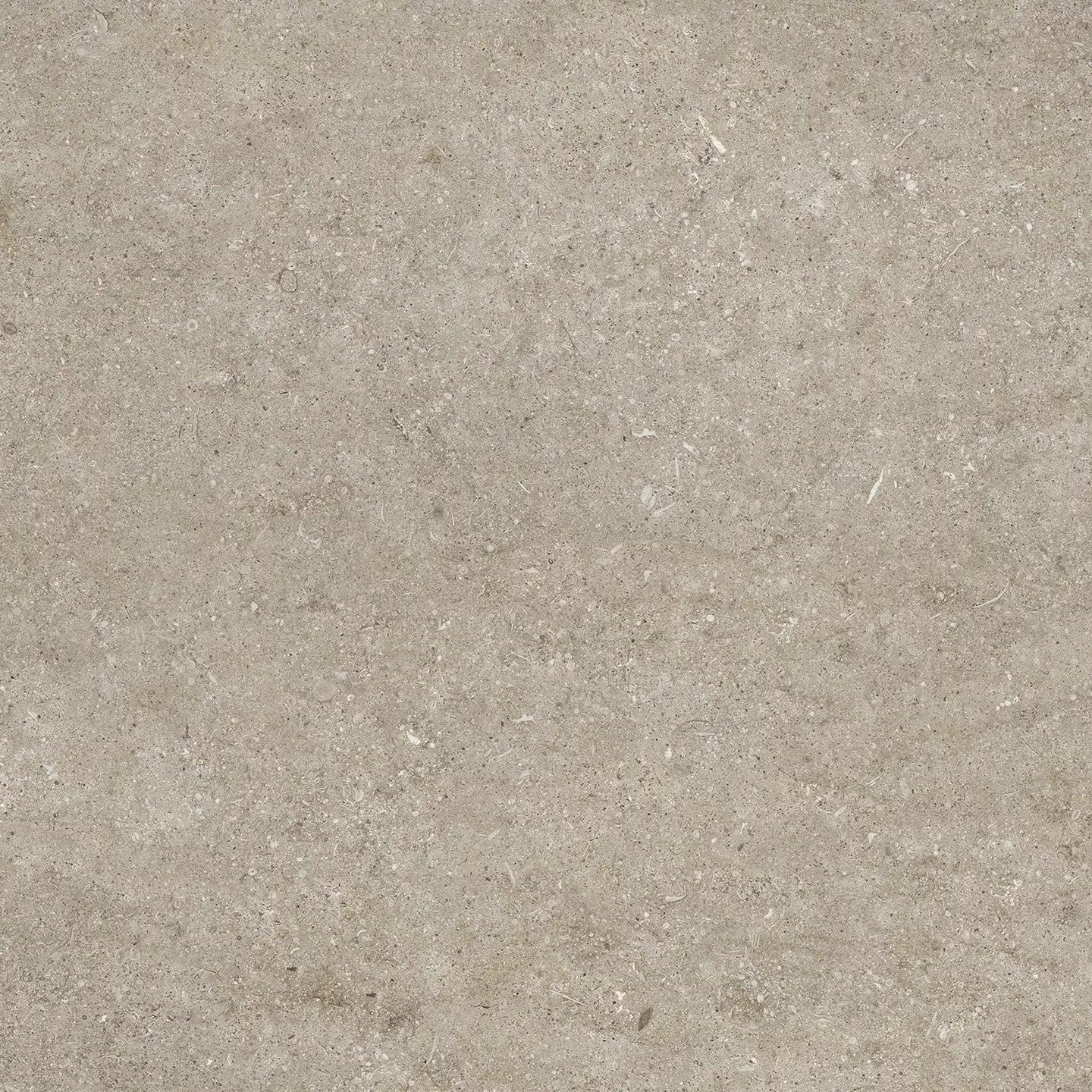 Sensi Fossil Ivory 120x120 matte - Gres Porcellanato di Florim - Prezzo solo €147.22! Compra ora su CEGO CERAMICHE