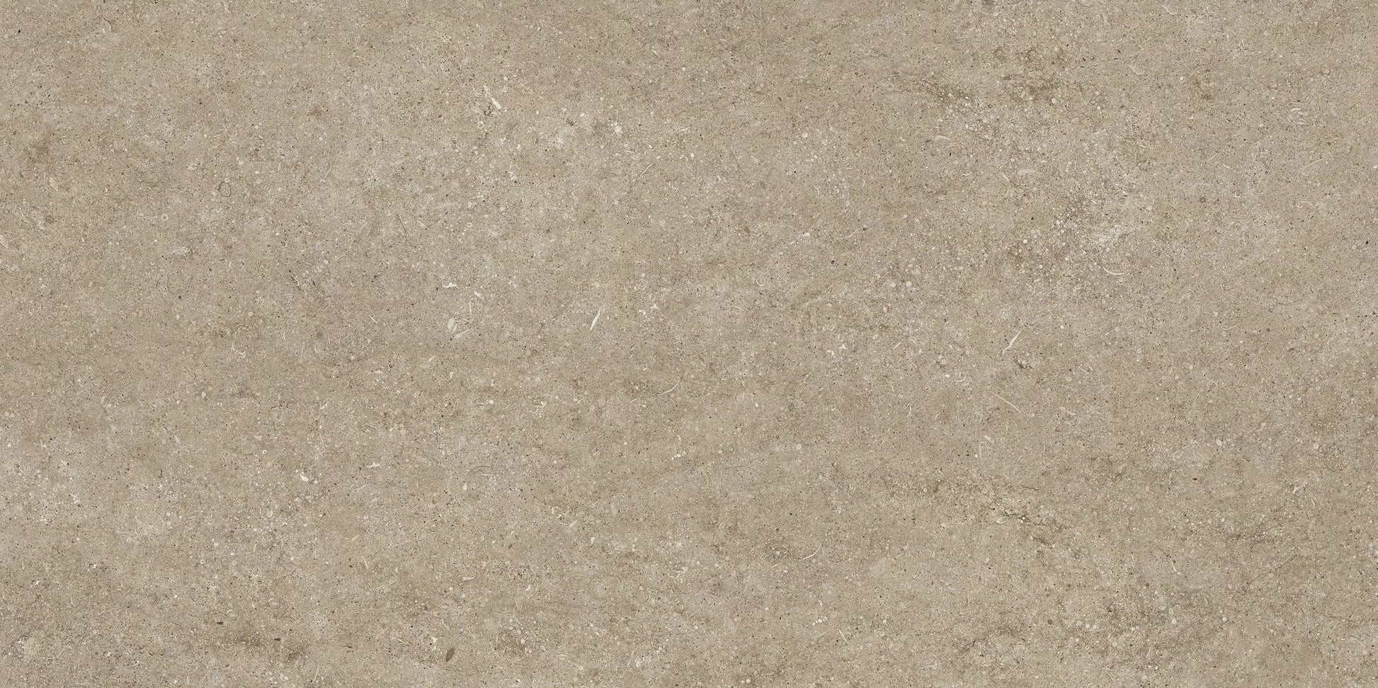 Sensi Fossil Taupe 60x120 matte - Gres Porcellanato di Florim - Prezzo solo €71! Compra ora su CEGO CERAMICHE