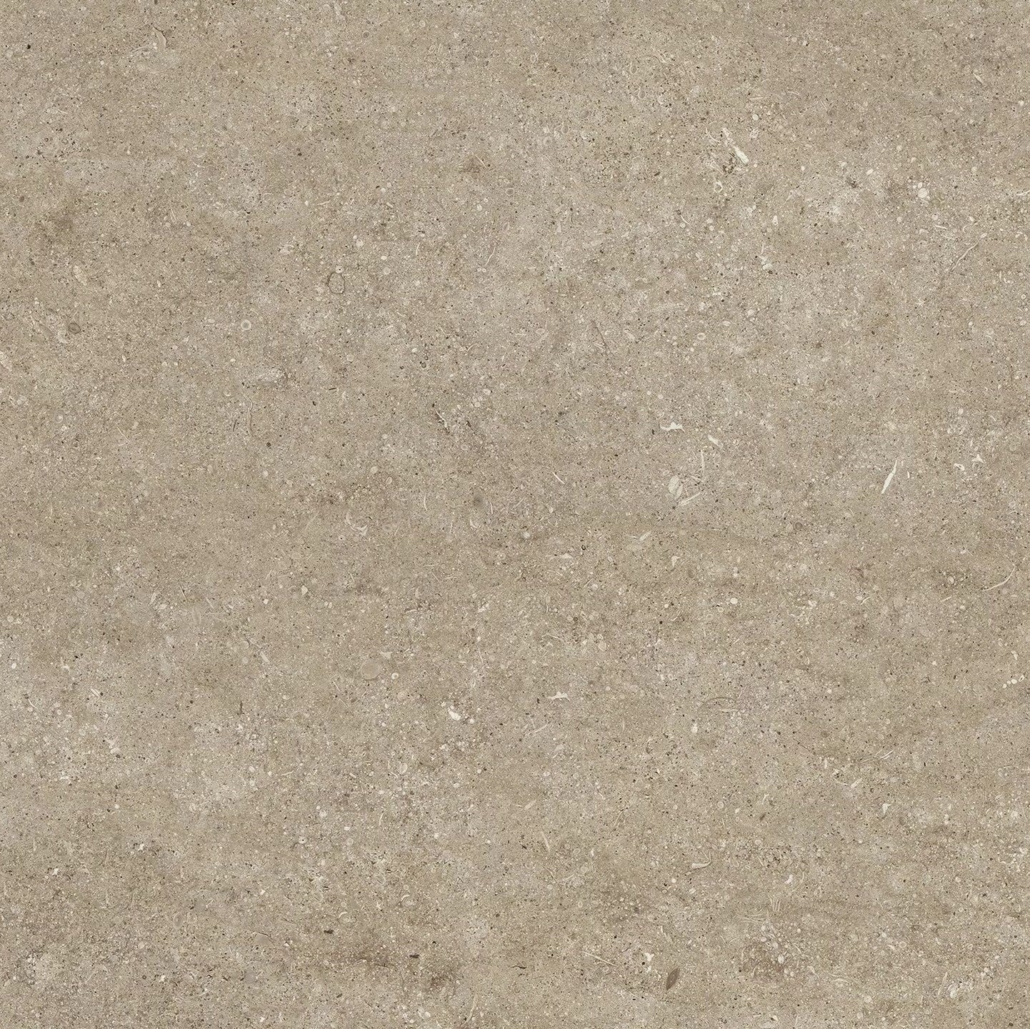 Sensi Fossil Taupe 120x120 matte - Gres Porcellanato di Florim - Prezzo solo €71! Compra ora su CEGO CERAMICHE