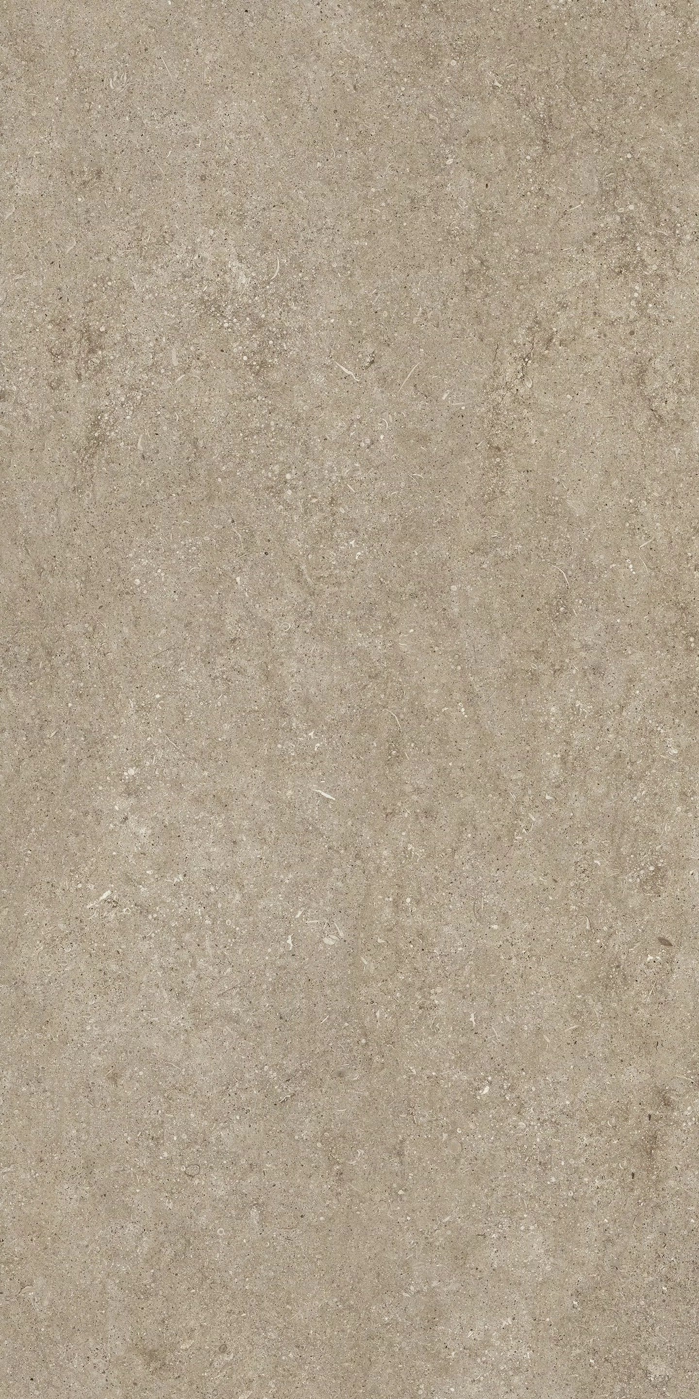 Sensi Fossil Taupe 120x240 matte - Gres Porcellanato di Florim - Prezzo solo €178.50! Compra ora su CEGO CERAMICHE